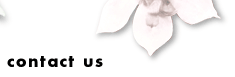contact us